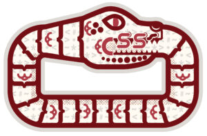 A snake eating its tale, with the letters CSS printed on its face